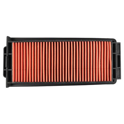 P2R 224545 Luftfilter