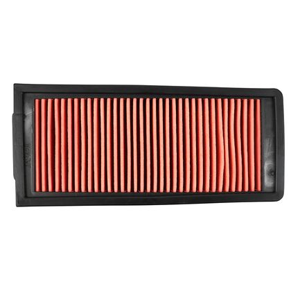 P2R 224545 Luftfilter