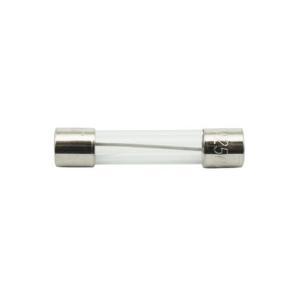 P2R GLAS ROND 10A 6,3x30mm Zekering Universeel