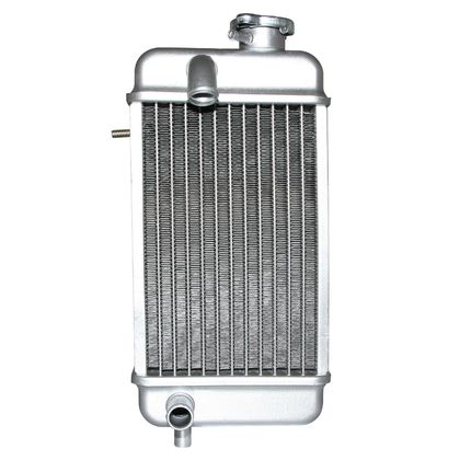 Radiateur P2R 50 A BOITE Ref : P2R02038A / 133446 