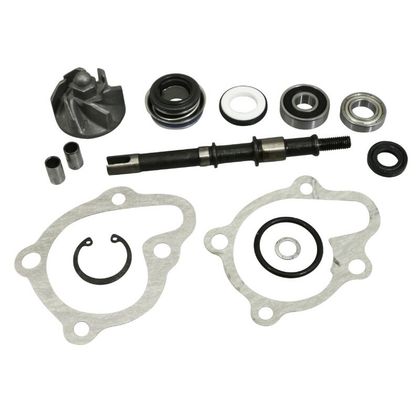 Kit réparation pompe à eau P2R MAXISCOOTER Ref : P2R02065A / 138901 
