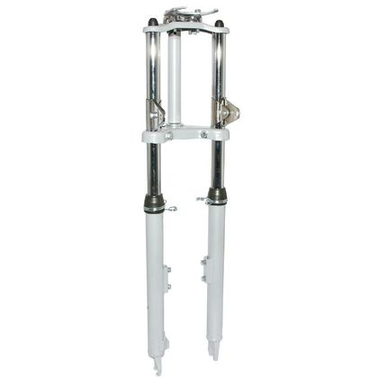 Fourche P2R 141823