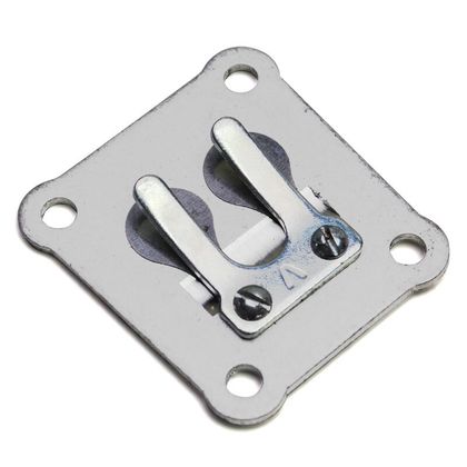 Clapet P2R 14374