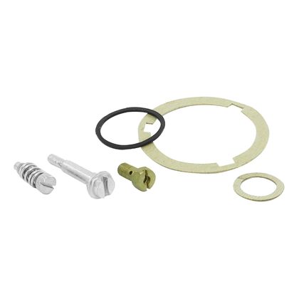 P2R 171816 Vergaser-Reparatursatz