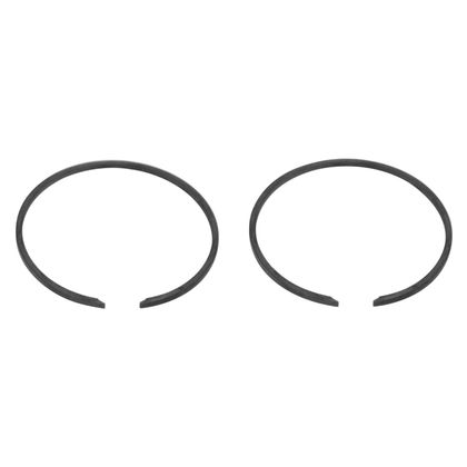 Segments P2R 202631