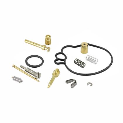 P2R 205889 Carburator Reparatieset