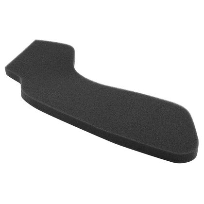 P2R MOUSSE MAXISCOOTER Luftfilter Ref : P2R02728A / 219011 PEUGEOT 125 ELYSEO 125 4T E1 - 1998