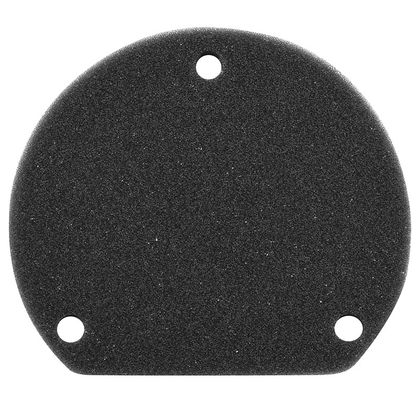 P2R MOUSSE MAXISCOOTER Luftfilter