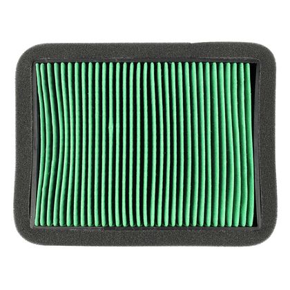 P2R 221783 Luftfilter
