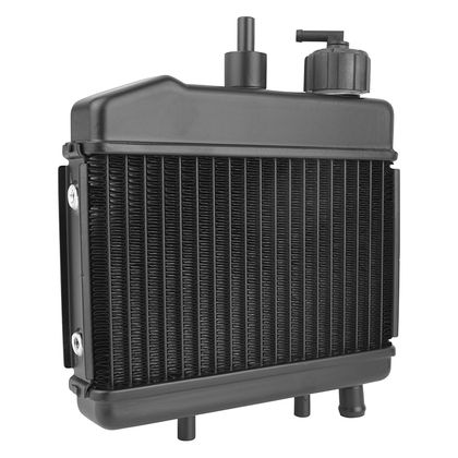 Radiateur P2R 223245 Ref : P2R02754A / 223245 