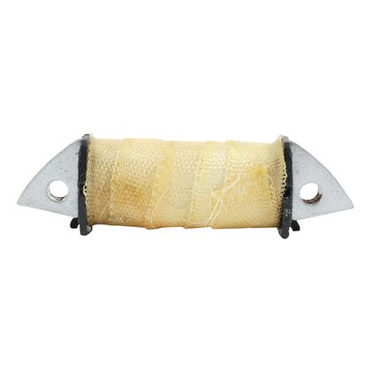 P2R 223246 Zündspule