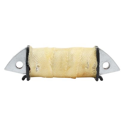 P2R 223246 Zündspule