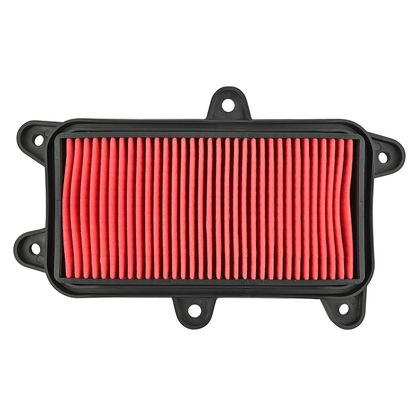 P2R MAXISCOOTER Luftfilter