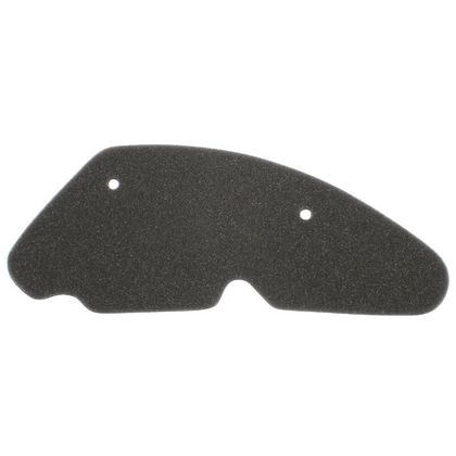 P2R MOUSSE SCOOT Luftfilter