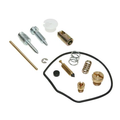 P2R 147475 Carburettor repair kit