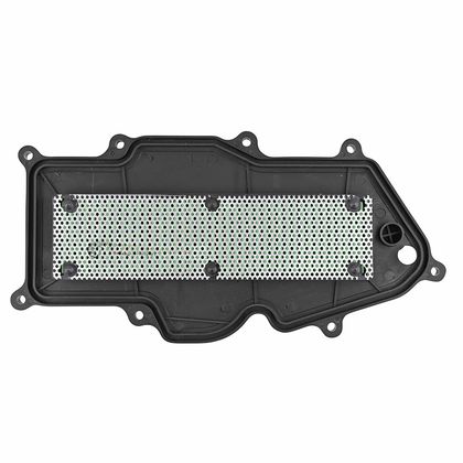 P2R MAXISCOOTER Luftfilter
