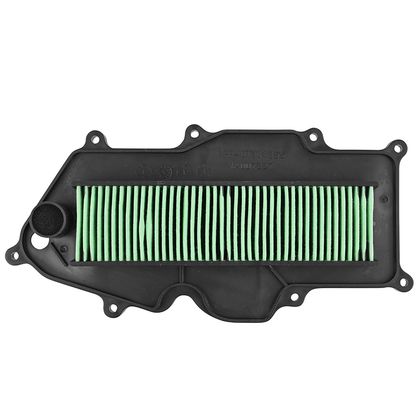 P2R MAXISCOOTER Luftfilter