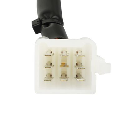 P2R 50 A SWITCH BOX Light control