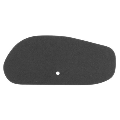 P2R MOUSSE MAXISCOOTER Luftfilter