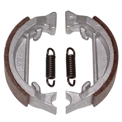 P2R 1002 Brake segments