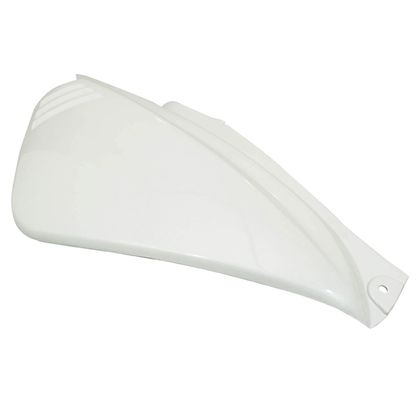 P2R FAIRING - REAR SCOOTER SHELL Mudguard Ref : P2R03369A / 10254 