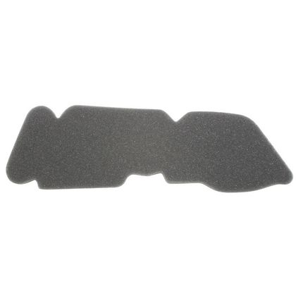 P2R MOUSSE SCOOT Luftfilter