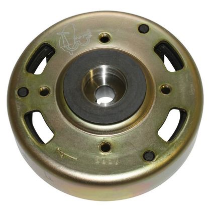 Rotor P2R ROTOR ALLUMAGE SCOOT ADAPTABLE PEUGEOT 50 TKR, TREKKER, BUXY -P2R-