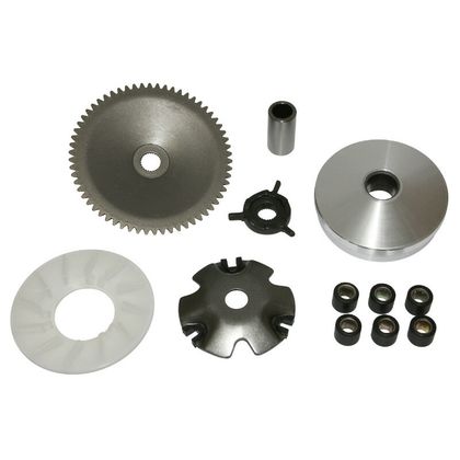 Variateur P2R VARIATEUR SCOOT ADAPTABLE PEUGEOT 50 KISBEE 4T-KYMCO 50 AGILITY 4T-SYM 50 ORBIT 4T-BAOTIAN BT 49 QT 4T-SCOOT 50 CHINOIS 139QMB, 