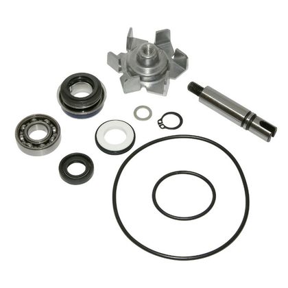 Kit réparation pompe à eau P2R KIT REPARATION POMPE A EAU MAXISCOOTER ADAPTABLE YAMAHA 500 TMAX 2001+2011 (KIT) -P2R-