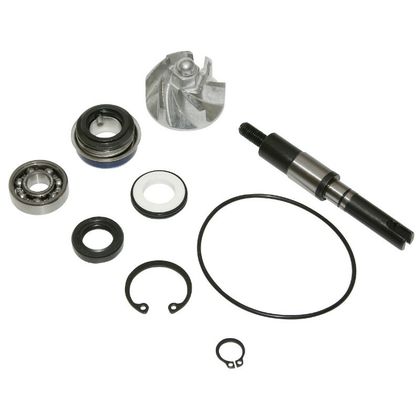 P2R KIT REPARATIE WATERPOMP MAXISCOOTER AANPASBAAR HONDA 125 SH 2001+2012, 125 PANTHEON 2003+, 125 DYLAN 2004+ (KIT) -P2R- Reparatiekit waterpomp