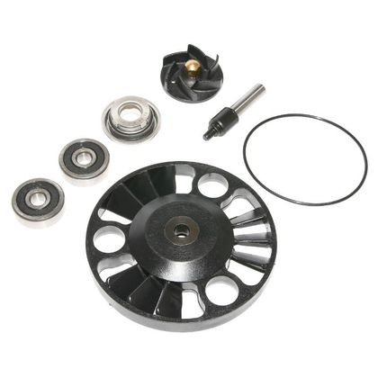Kit réparation pompe à eau P2R KIT REPARATION POMPE A EAU MAXISCOOTER ADAPTABLE APRILIA 125 ATLANTIC 2002+-GILERA 125 NEXUS 2007+ (KIT) -P2R-