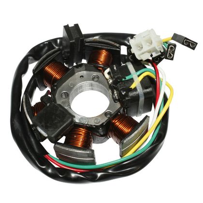 Stator d'allumage P2R STATOR ALLUMAGE 50 A BOITE ADAPTABLE MINARELLI 50 AM6 - APRILIA 50 RS 1991+2005 - MBK 50 XLIMIT 2003+2006 - RIEJU 50 RR, SPIKE 1