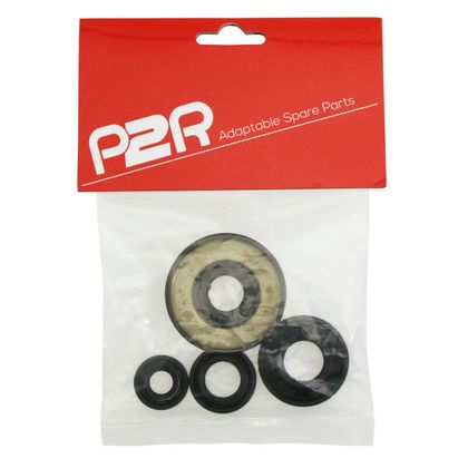 P2R SPI Krukaskeerringen
