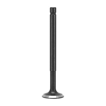 P2R EXHAUST VALVE SCOOT Exhaust valve Ref : P2R04721A / 184401 