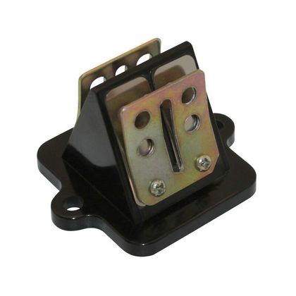 Clapet P2R CLAPET SCOOT ADAPTABLE PEUGEOT 50 LUDIX BLASTER, JET FORCE, SPEEDFIGHT 3, KISBEE, DJANGO 2T -P2R-