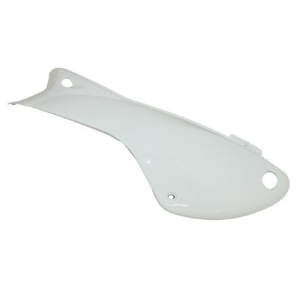 P2R CARENAGE - COQUE AR SCOOT Achterkap