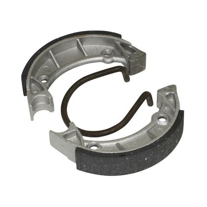 P2R 19830 Brake segments
