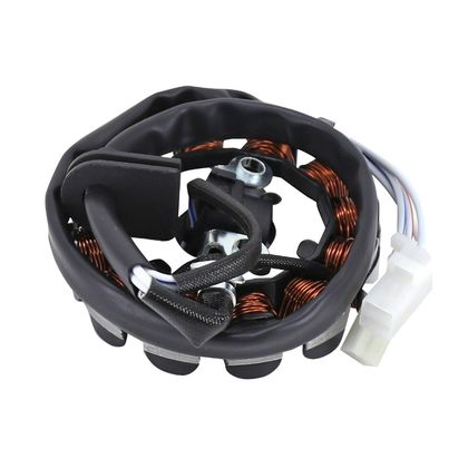 Stator d'allumage P2R STATOR SCOOT