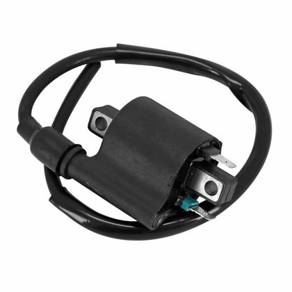 Bobine allumage P2R BOBINE MAXISCOOTER Ref : P2R04981A / 206124 