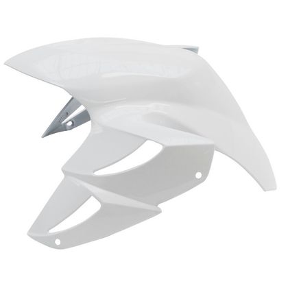 P2R SCOOTER MUDGUARD Mudguard