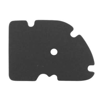 Filtre à air P2R MOUSSE FILTRE A AIR MAXISCOOTER ADAPTABLE PIAGGIO 125 MP3, VESPA GTS, X8, X-EVO, 250 MP3, VESPA GTS, X8, X-EVO, 300 VESPA GTS (E