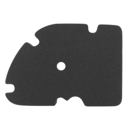 Filtre à air P2R MOUSSE FILTRE A AIR MAXISCOOTER ADAPTABLE PIAGGIO 125 MP3, VESPA GTS, X8, X-EVO, 250 MP3, VESPA GTS, X8, X-EVO, 300 VESPA GTS (E