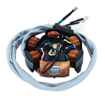 Stator d'allumage P2R STATOR SCOOT Ref : P2R05954A / 614 