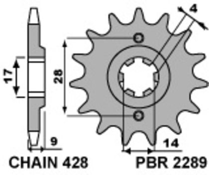 PBR Standard Stahlriztel vorne 2289 - 428 Ritzel für den Ausgang des Getriebes Ref : PBR01203A / 1077629002 