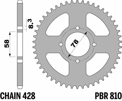 Kolo PBR Acier Standard - 428 46 zubů