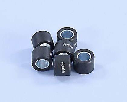 Polini Satz 23x18mm 16gr - 6 teilig Variatorrollen Universell