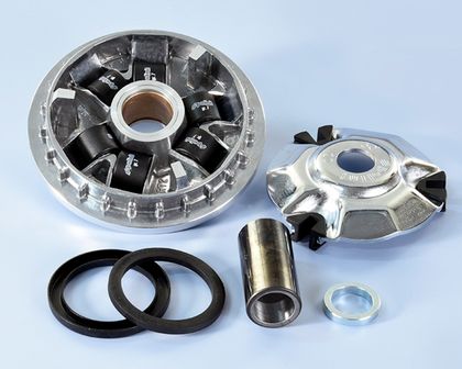 Variateur Polini 