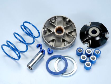 Variateur Polini 