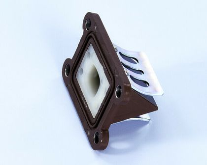 Polini 1149616 Carbon valves