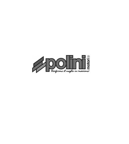 Segmenty Polini píst 46x1.5